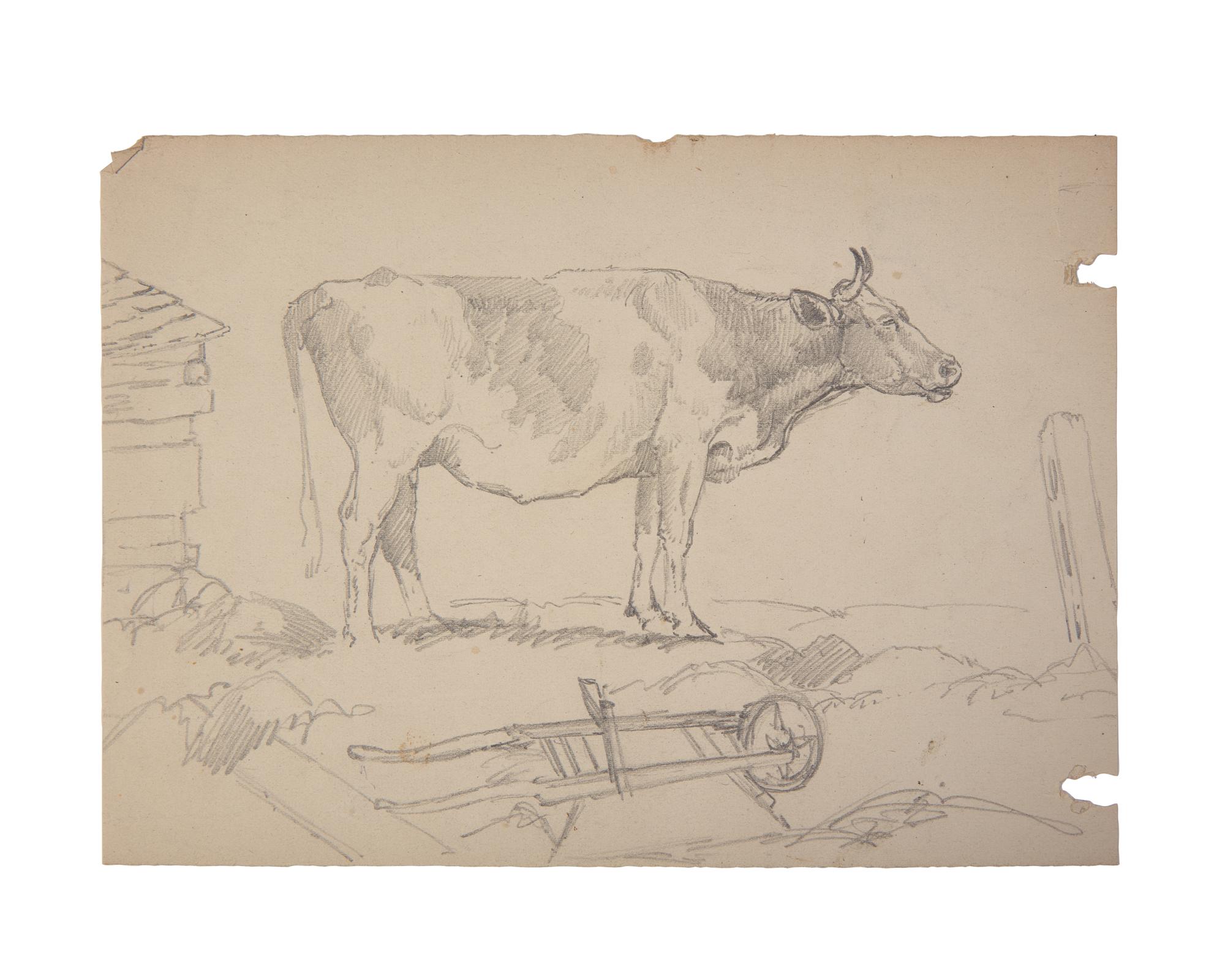 Farm Animal Studies: F older of Eighteen (18) Pencil Drawings