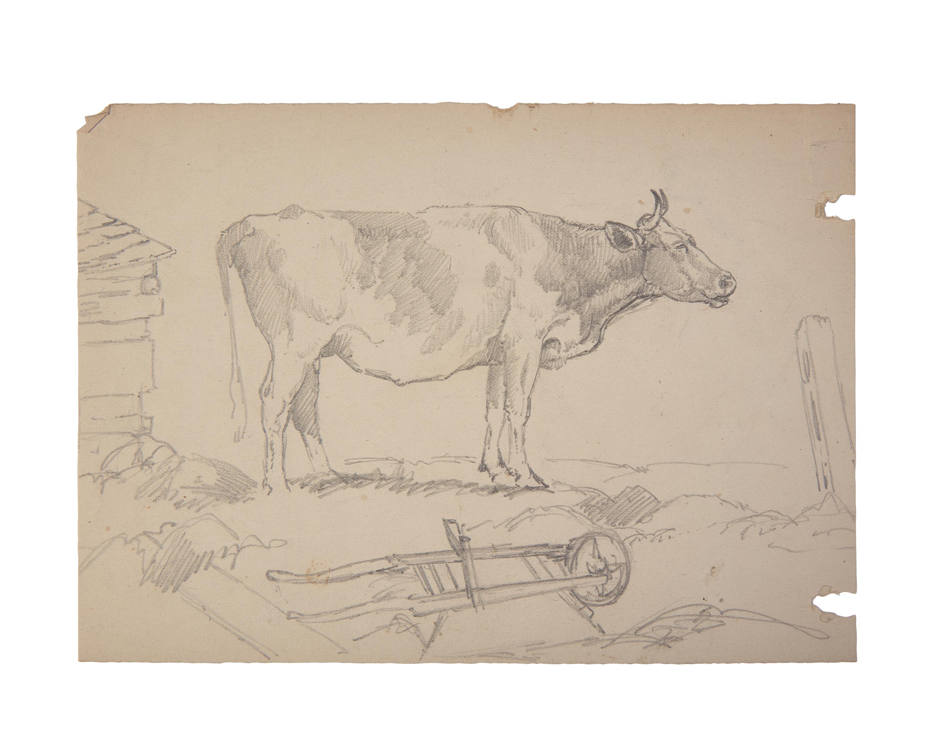Farm Animal Studies: F older of Eighteen (18) Pencil Drawings
