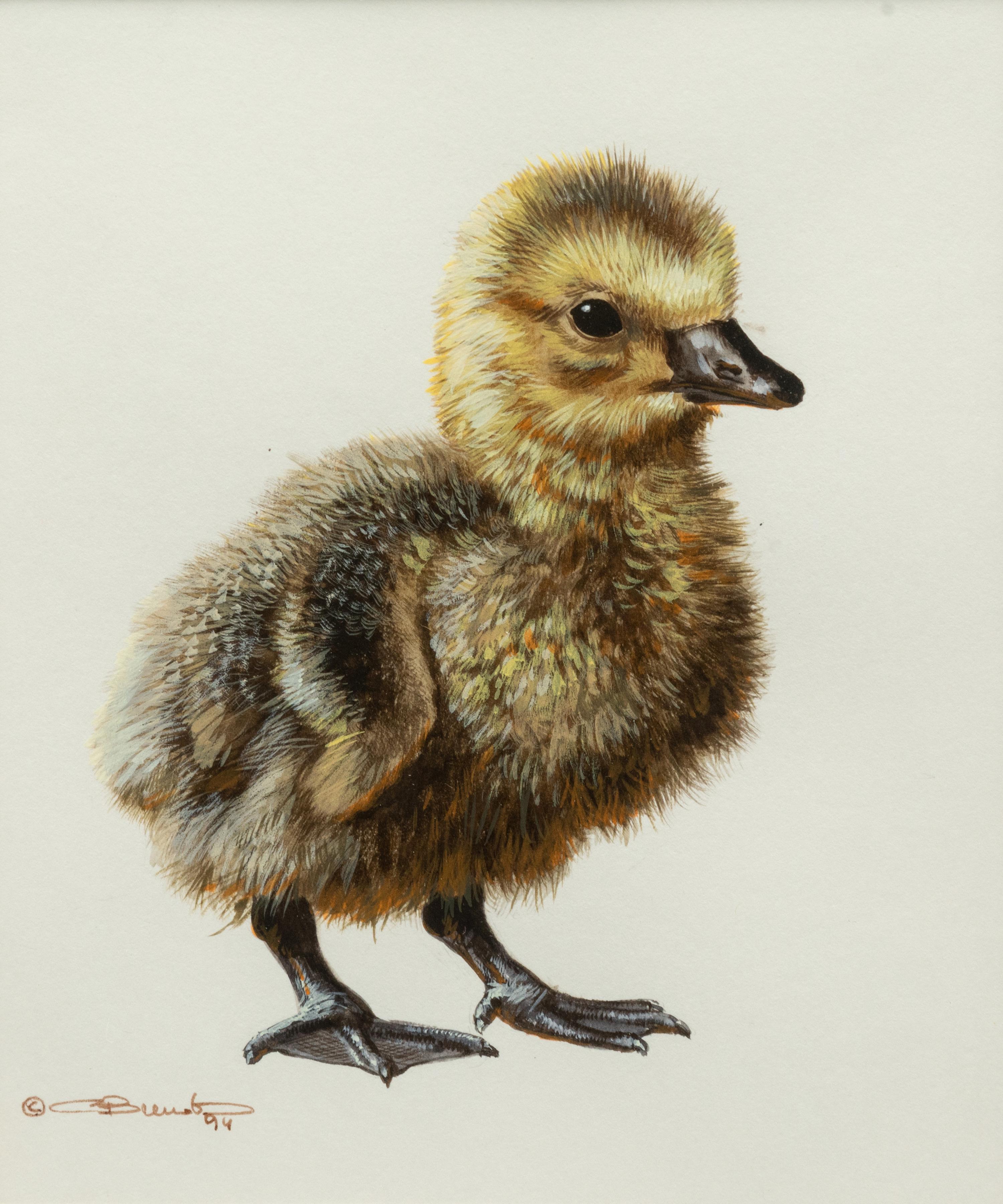 Gosling Study ,1994
