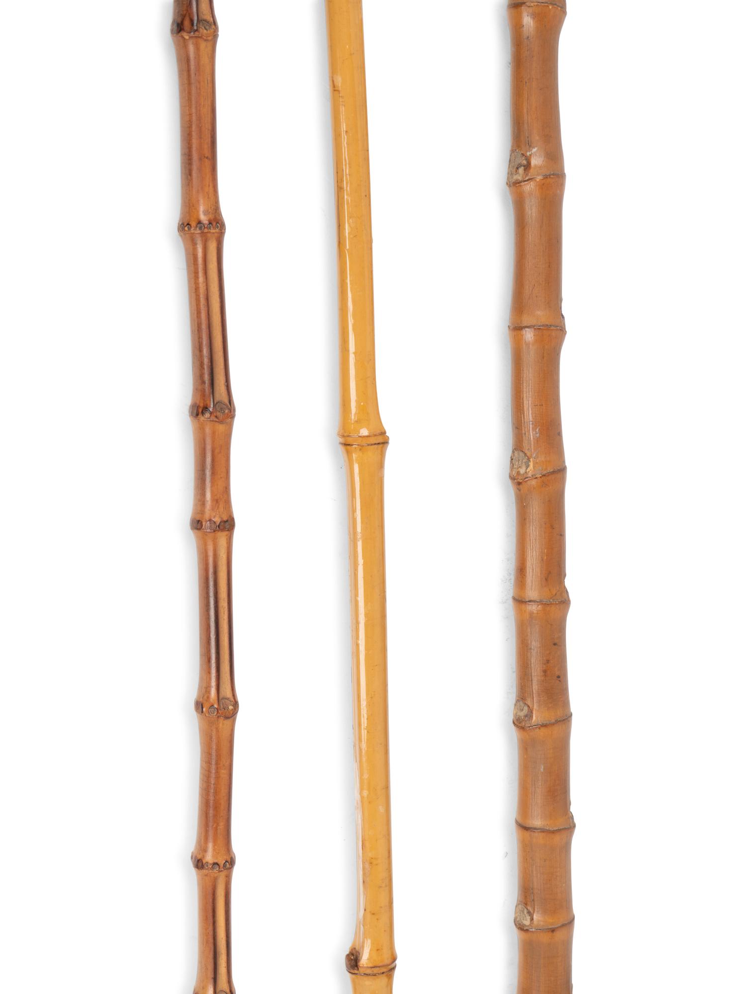 A Group of Eight Canes and Walking Sticks