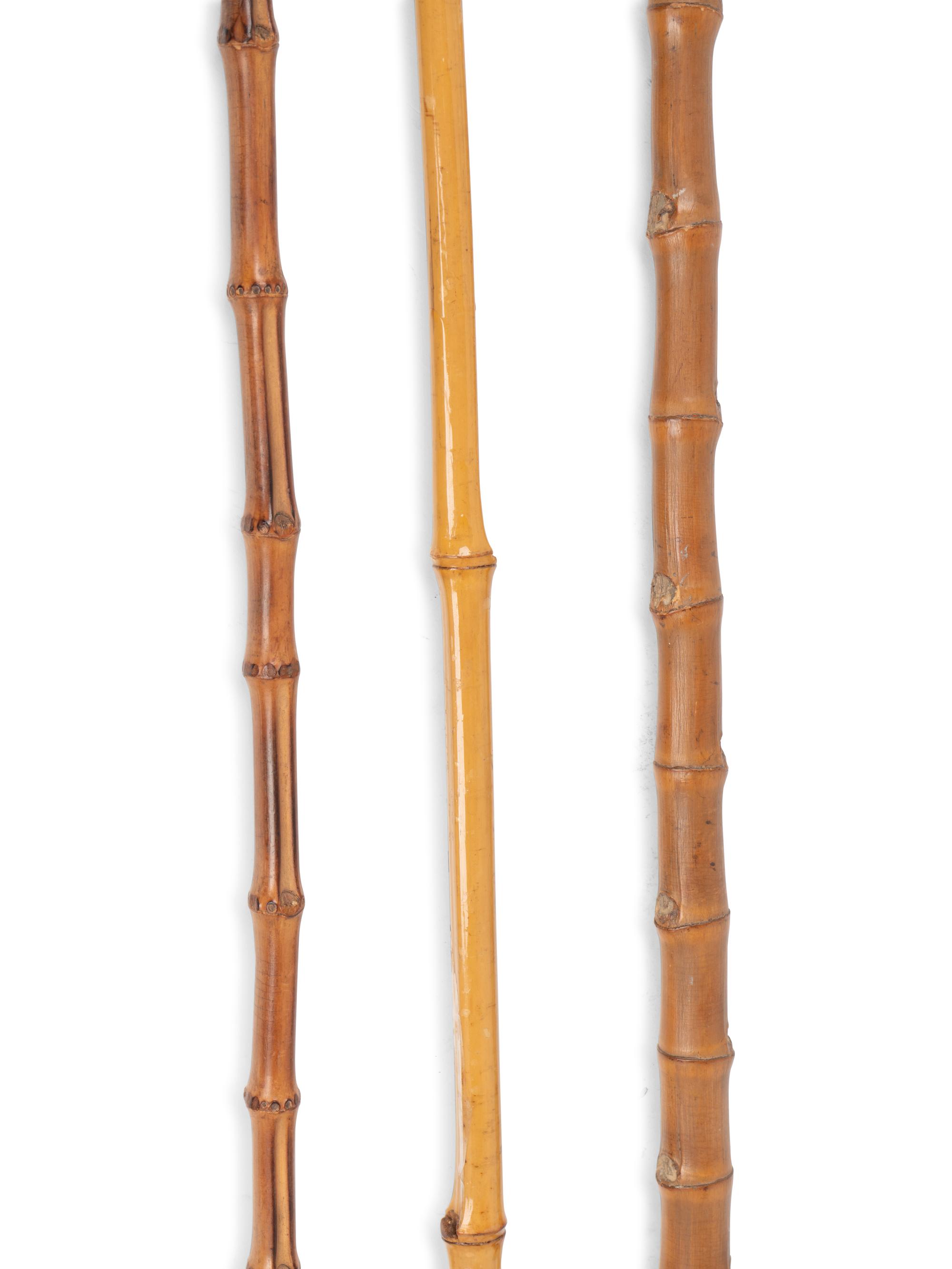 A Group of Eight Canes and Walking Sticks