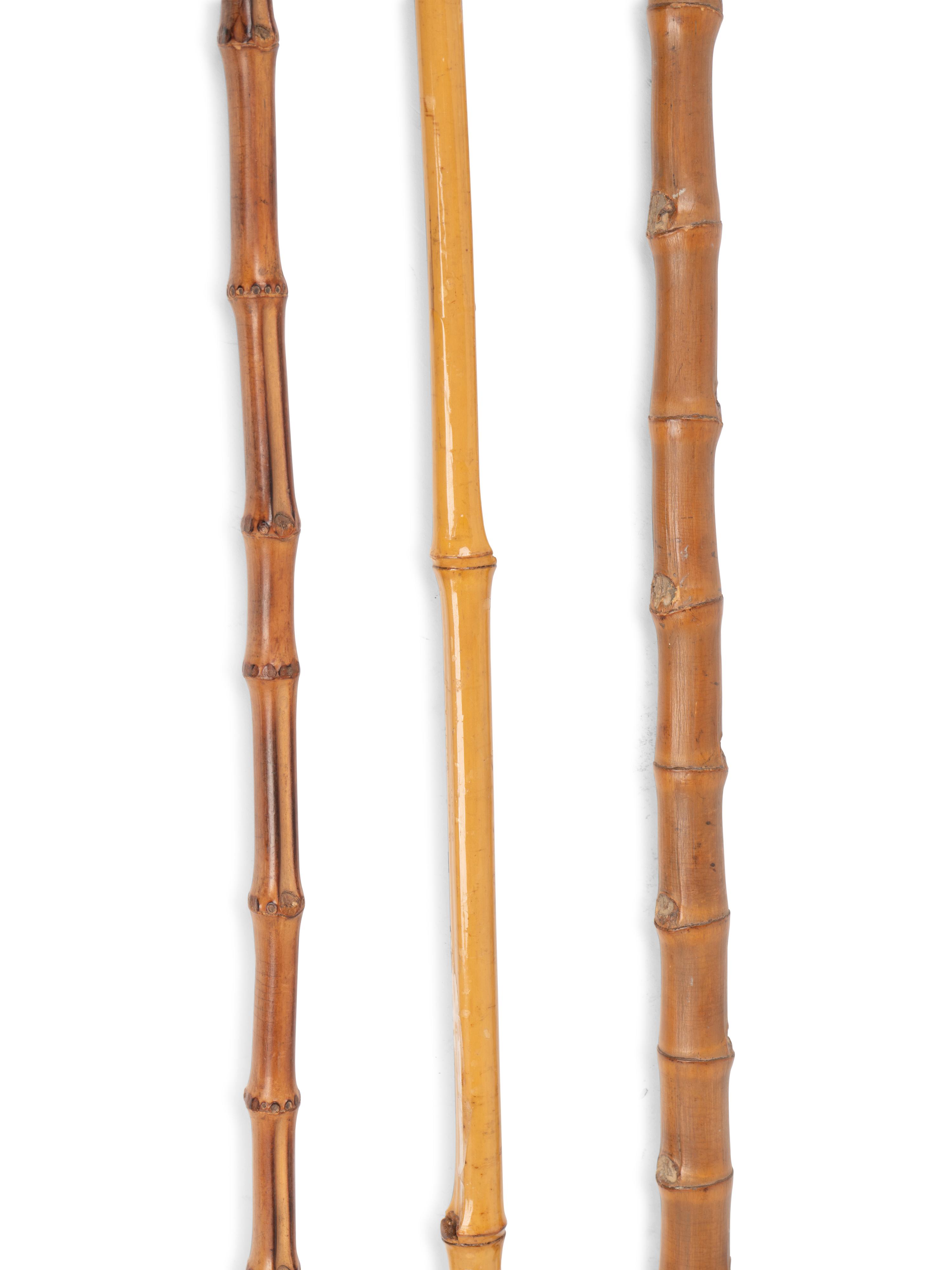 A Group of Eight Canes and Walking Sticks