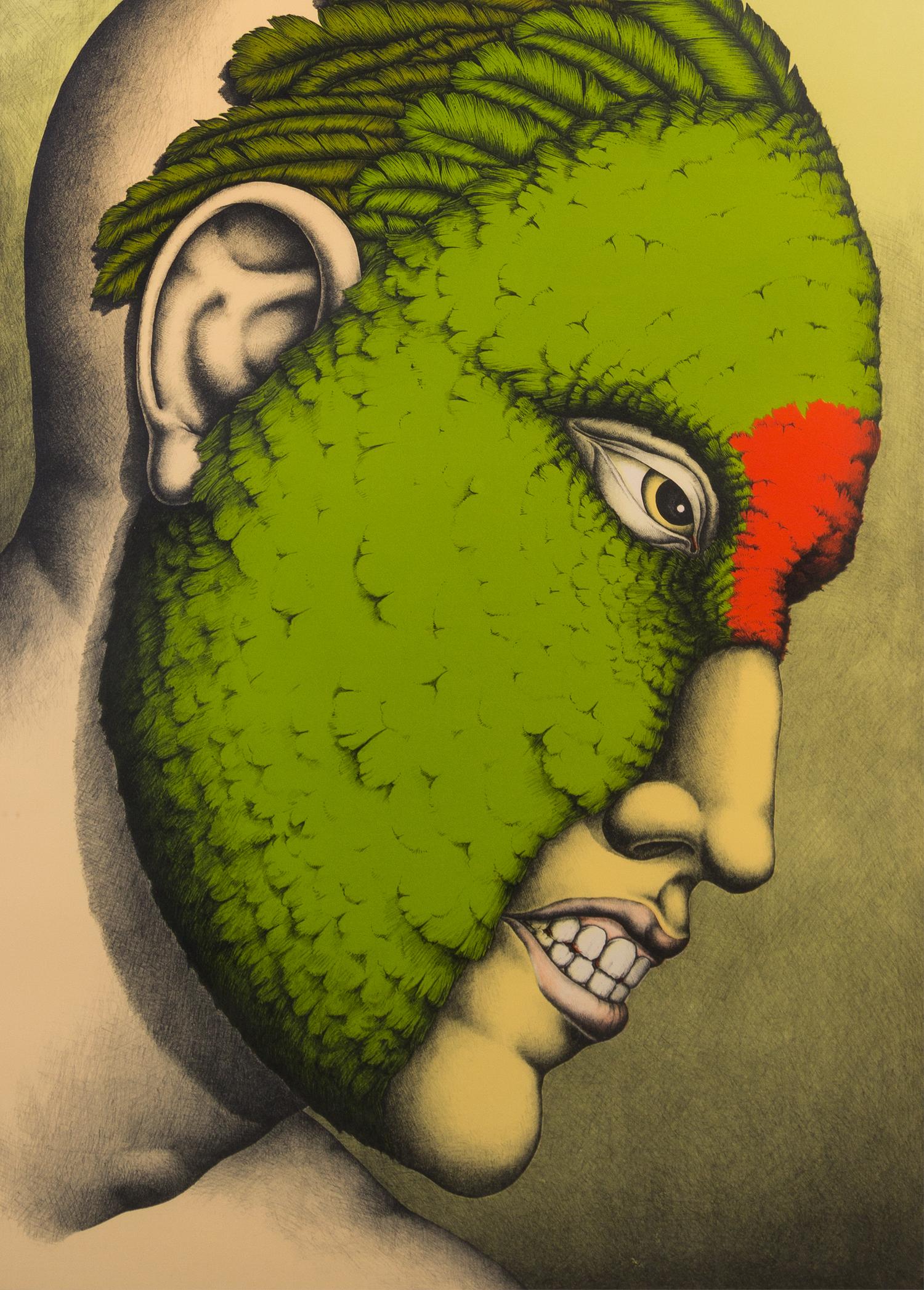 Robert Lostutter, (American, b. 1939), The Birds of Heaven, no. 14, Red Fronted Conure, 1974
