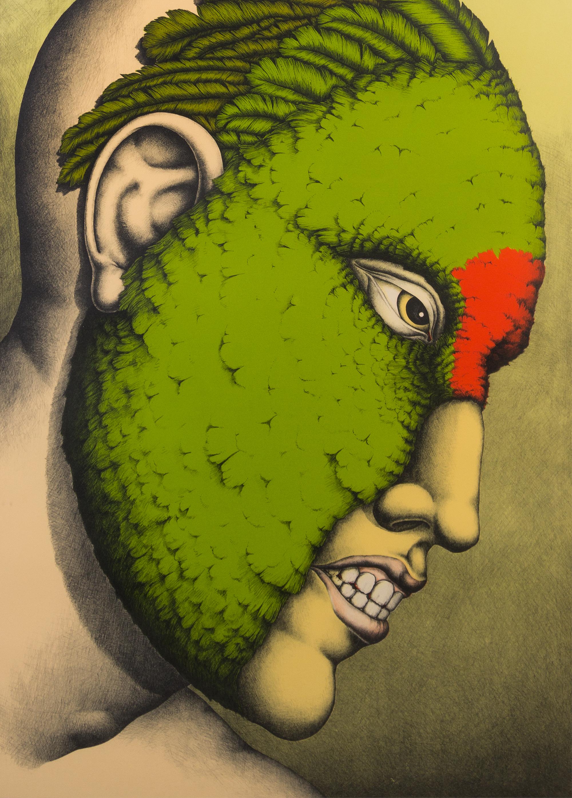 Robert Lostutter, (American, b. 1939), The Birds of Heaven, no. 14, Red Fronted Conure, 1974