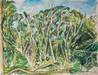 Trees on Cape Cod, 2021