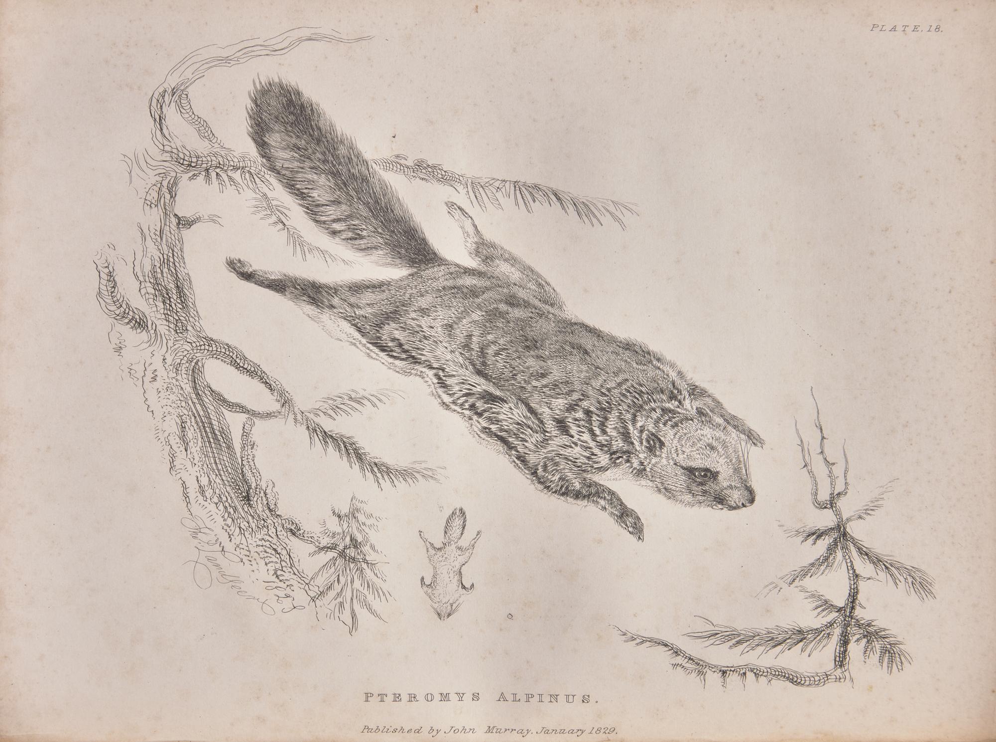 [Natural History] Richardson, John, and William Swainson, and William Kirby. Fauna Boreali-Americana; or the Zoology of the Northern Parts of British America...