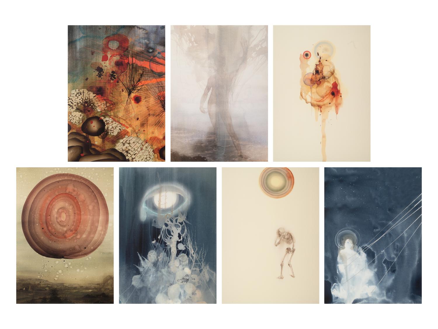 The Flowering (The Fourfold Sense), 2007 (complete portfolio of thirteen)