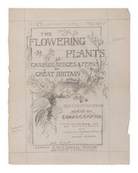 [NATURAL HISTORY]. PRATT, Anne (1806-1893). Flowering Plants. Grasses, Sedges & Ferns of Great Britain . London: Frederick Warne & Co., 1899-1900.