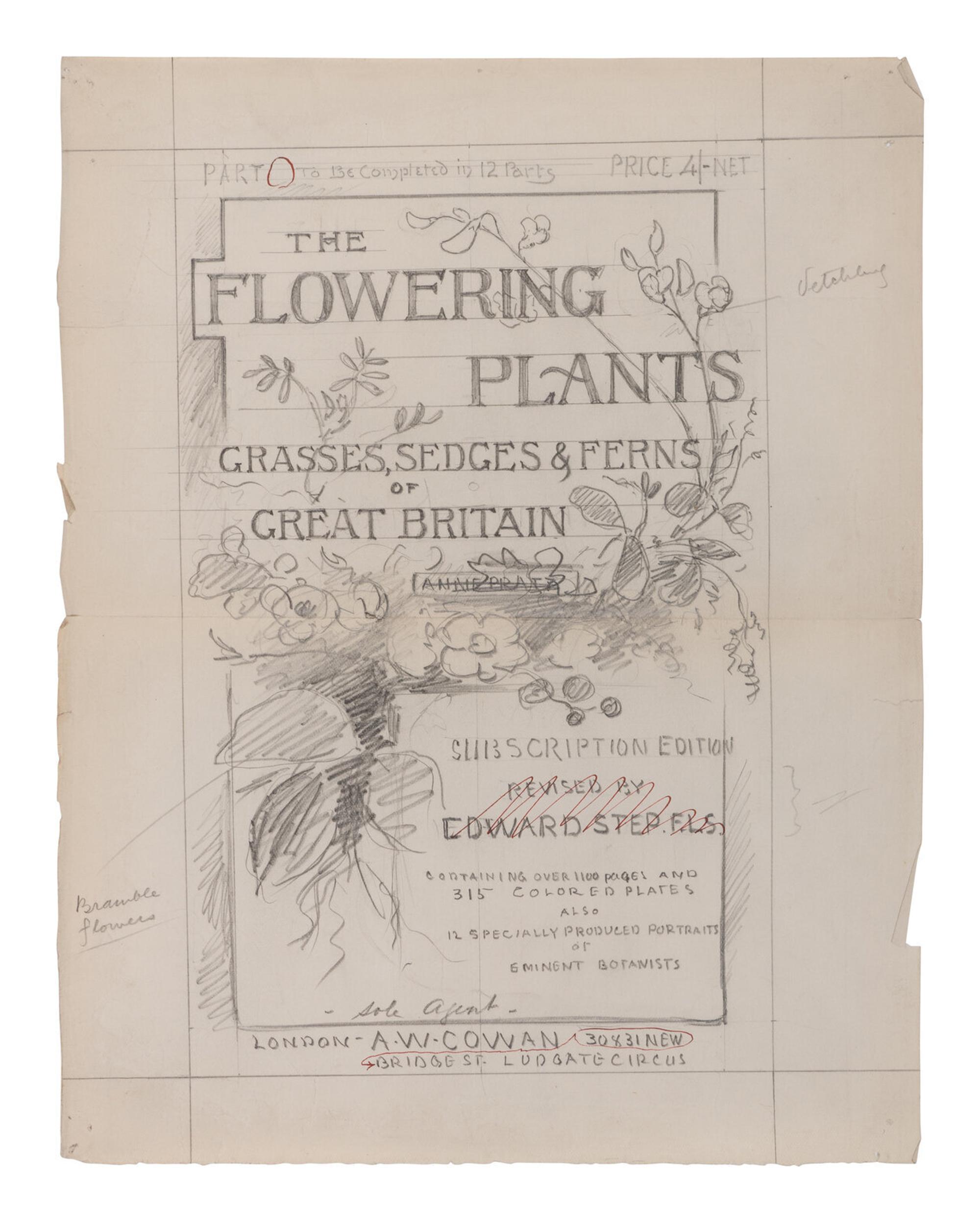 [NATURAL HISTORY]. PRATT, Anne (1806-1893). Flowering Plants. Grasses, Sedges & Ferns of Great Britain . London: Frederick Warne & Co., 1899-1900.