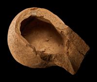 An Etruscan Pottery Head