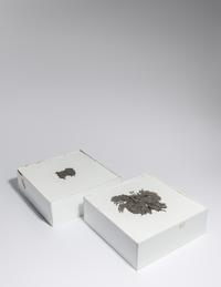 Magnetic Sandbox and Magnetic Sandbox from Toys by Artists