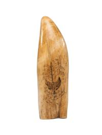 A Scrimshaw Tooth with Depiction of Female Pirate Fanny Campbell and a Patriotic Device