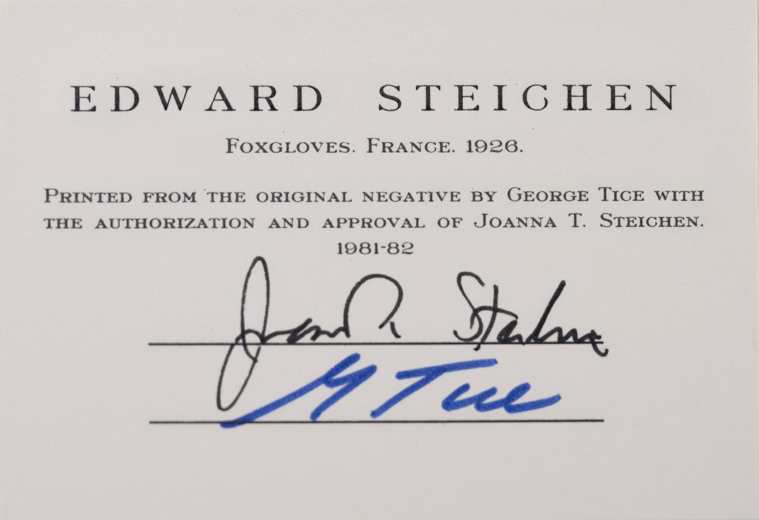 A group of twenty-one photographs (from Twenty-five Photographs printed by George Tice with labels signed by George Tice and Joanna Steichen)