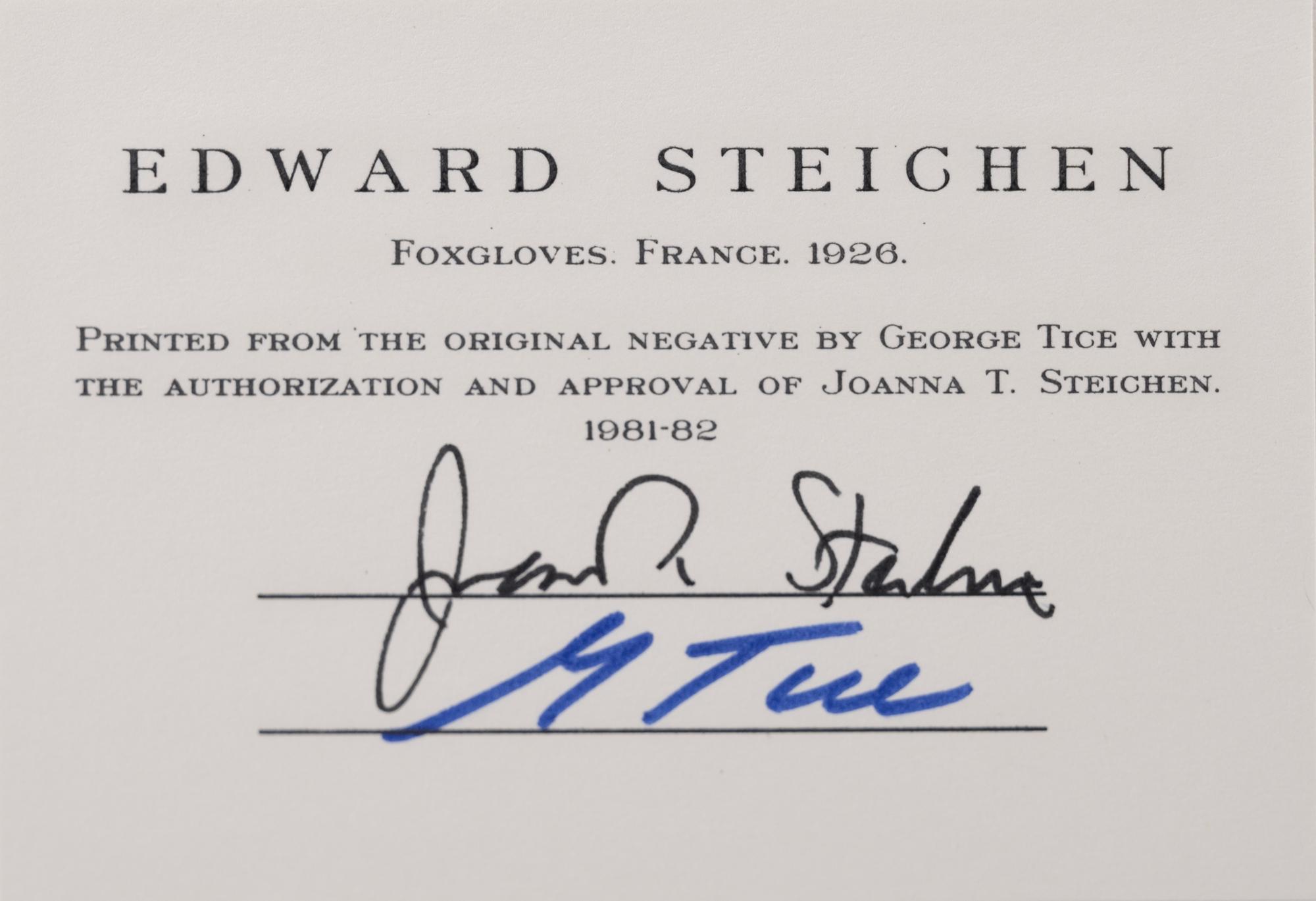A group of twenty-one photographs (from Twenty-five Photographs printed by George Tice with labels signed by George Tice and Joanna Steichen)