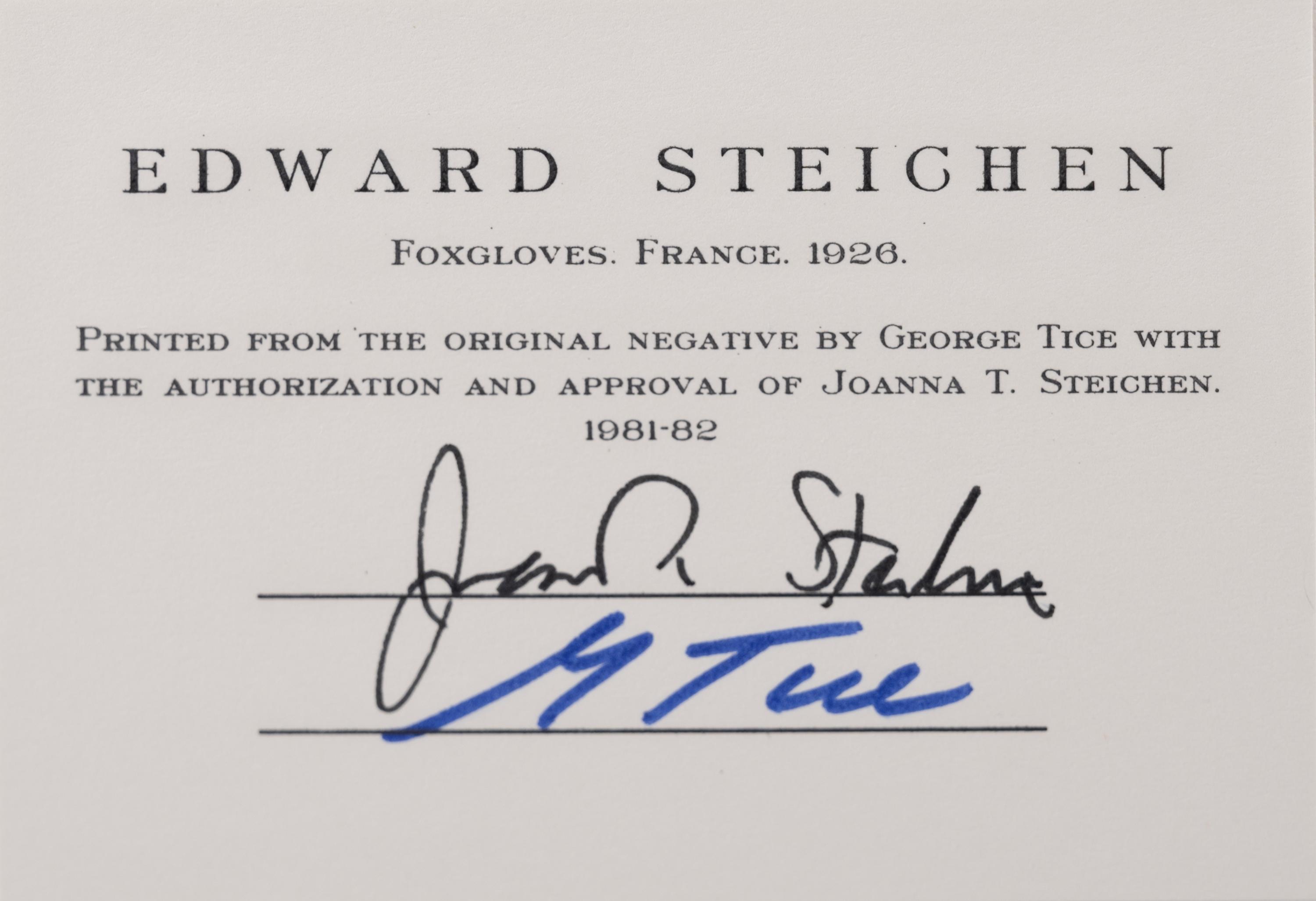 A group of twenty-one photographs (from Twenty-five Photographs printed by George Tice with labels signed by George Tice and Joanna Steichen)