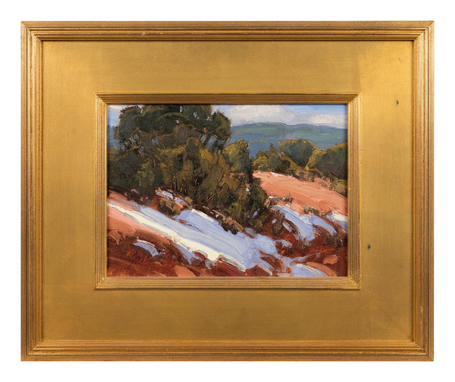 Sunny Bank - Winter, NM
