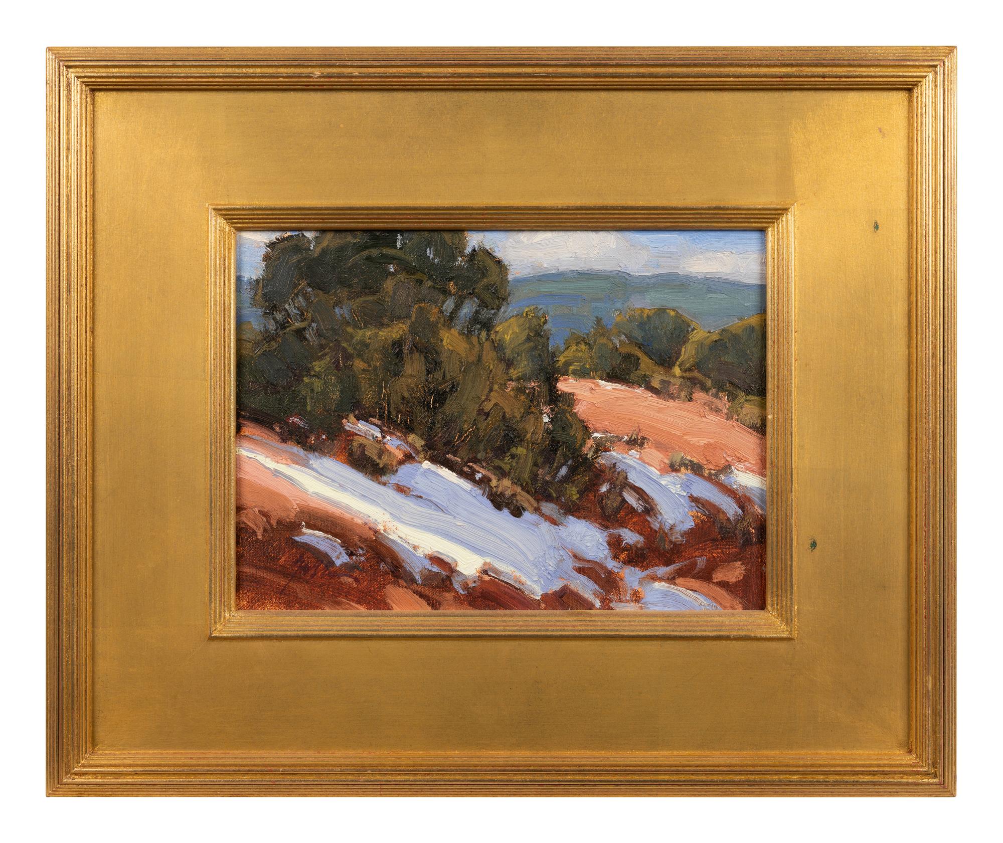 Sunny Bank - Winter, NM