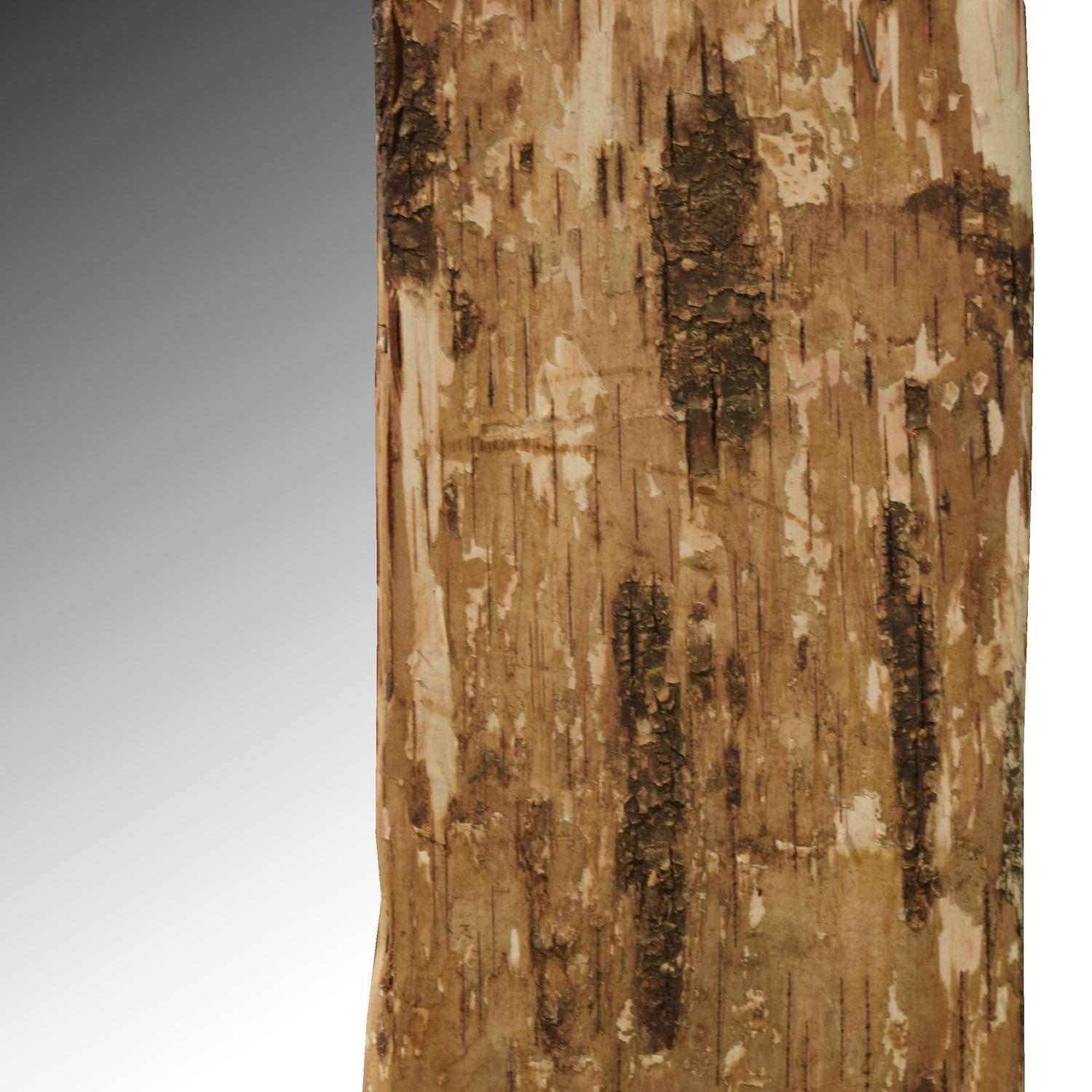 A Birch Bark Frame with Mirror 27" W x 1" D x 30" H — United States, Circa 1920