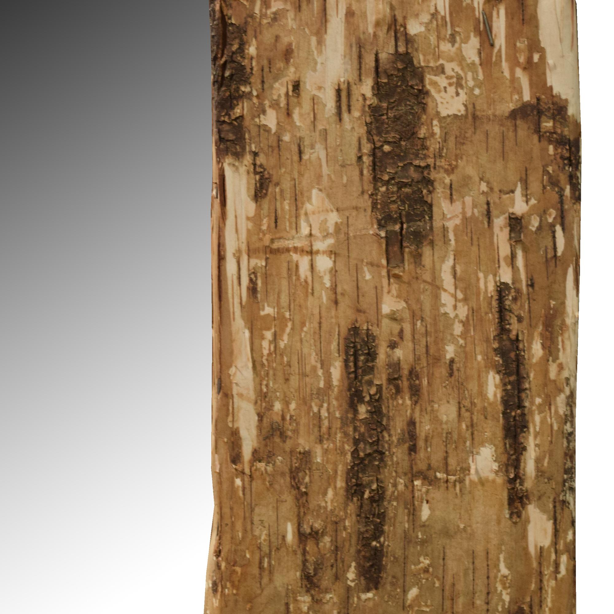 A Birch Bark Frame with Mirror 27" W x 1" D x 30" H — United States, Circa 1920