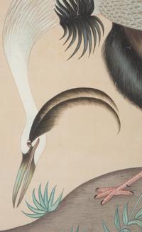 Two Chinese Paintings of Exotic Birds in Floating Glass Frames