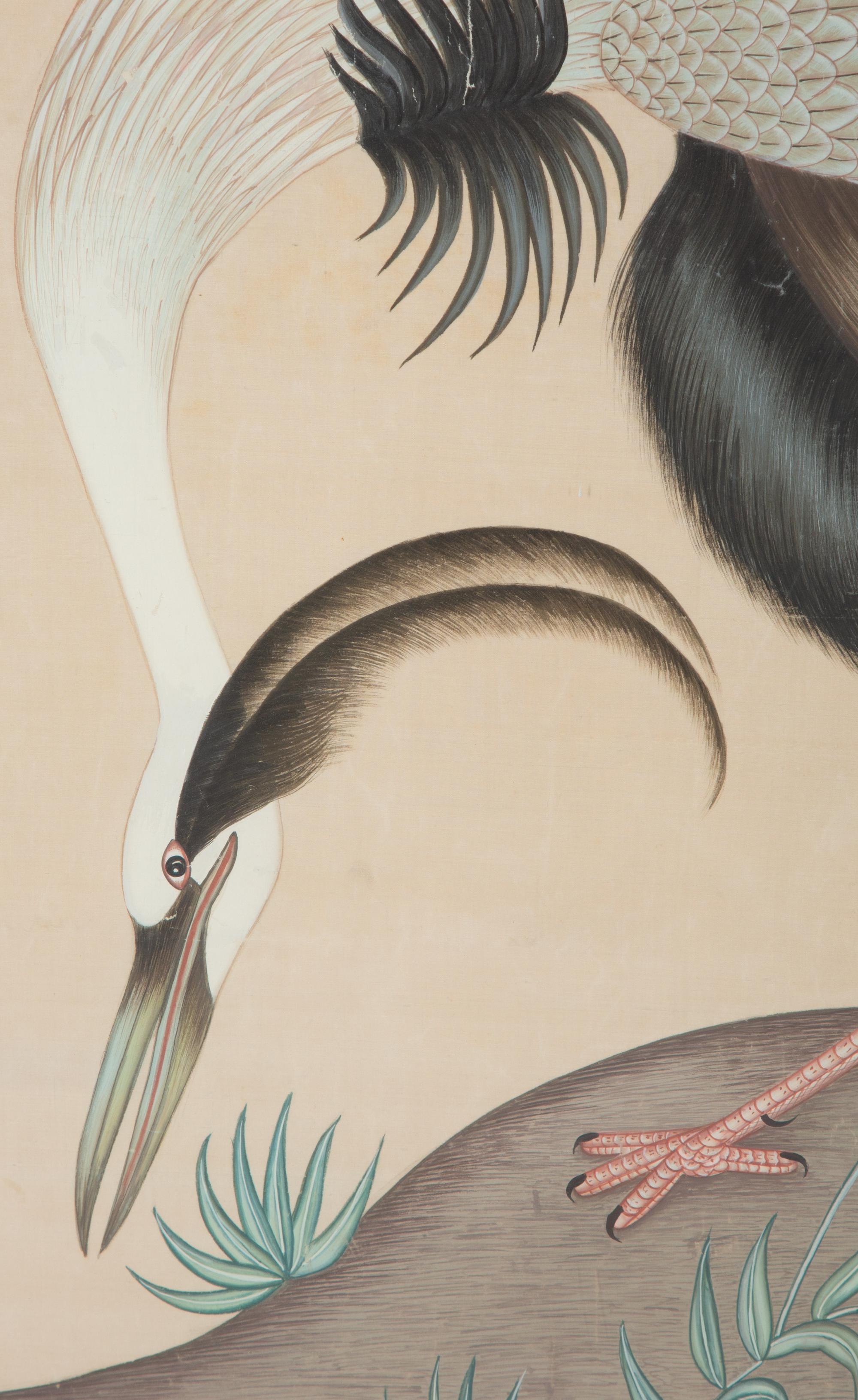 Two Chinese Paintings of Exotic Birds in Floating Glass Frames