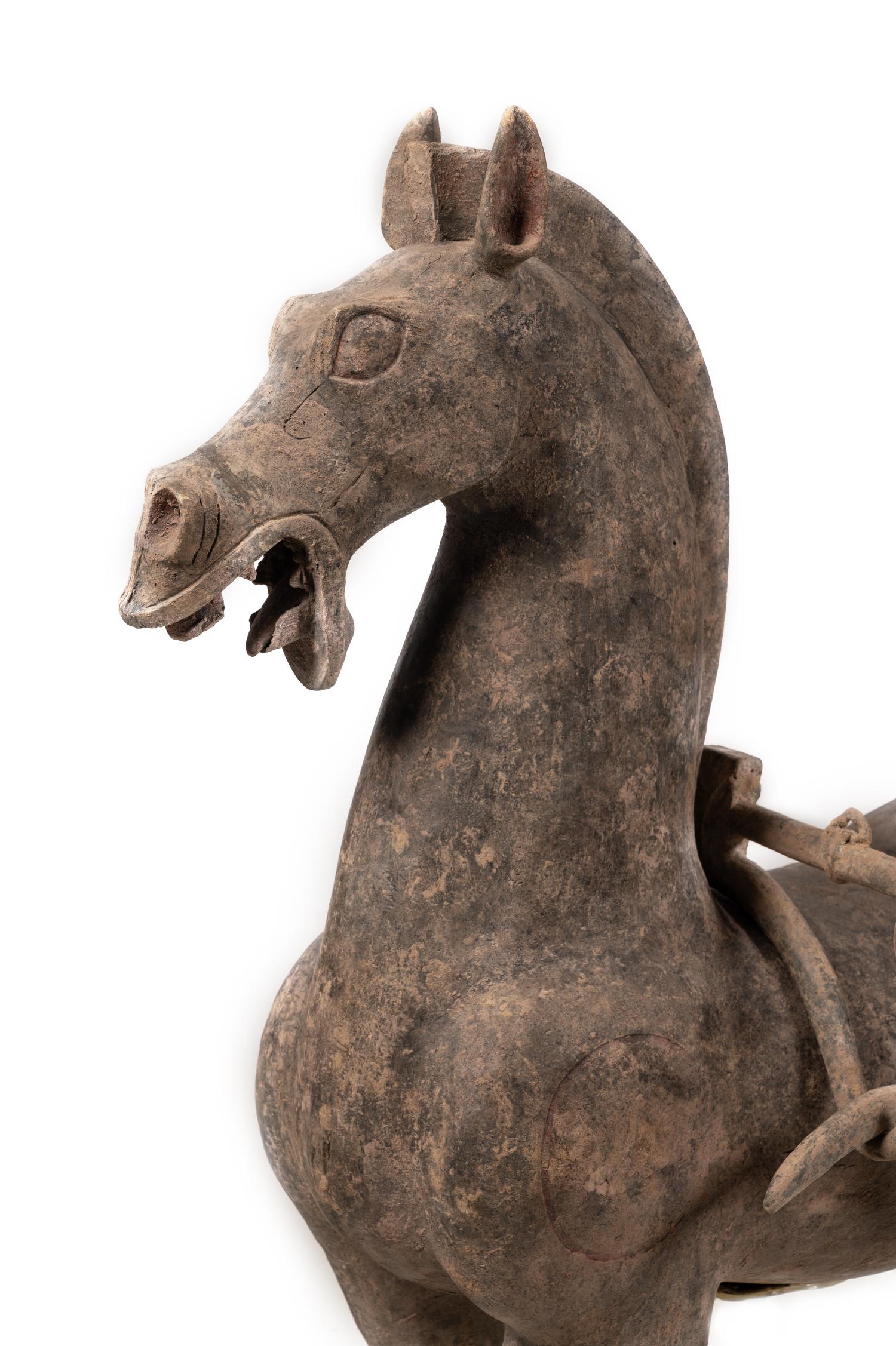 A Team of Chinese Monumental Terra Cotta Horses with a Two-Wheeled Chariot