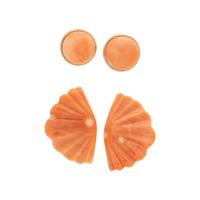COLLECTION OF CORAL EARCLIPS