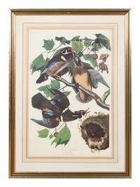 AUDUBON, John James (1785-1851). .