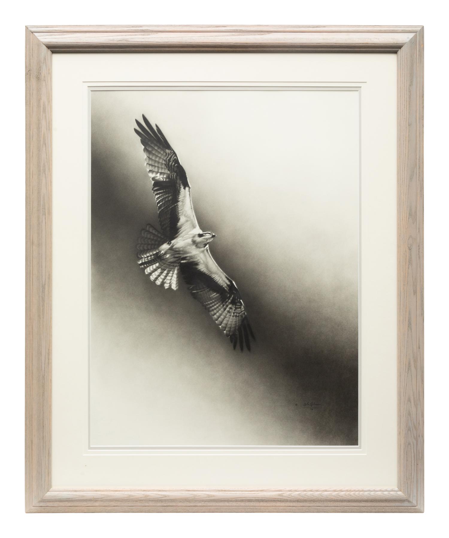 Osprey , 1996