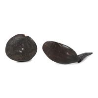 Northwest Coast Carved Horn Spoons