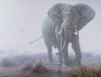 Denizen of the Mist
