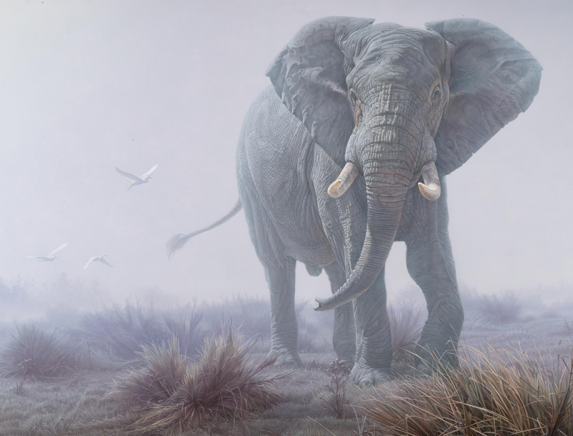 Denizen of the Mist
