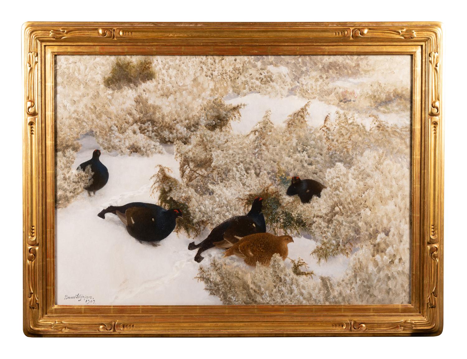 Red Grouse in the Snow