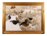 Red Grouse in the Snow