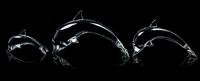 Three Steuben Dolphins Length of largest 11 1/2 inches.