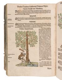 [NATURAL HISTORY]. BOCK, Hieronymus (1489?-1554). Kreutterbuch. Strassburg: Josias Rihel, 28 August 1595.