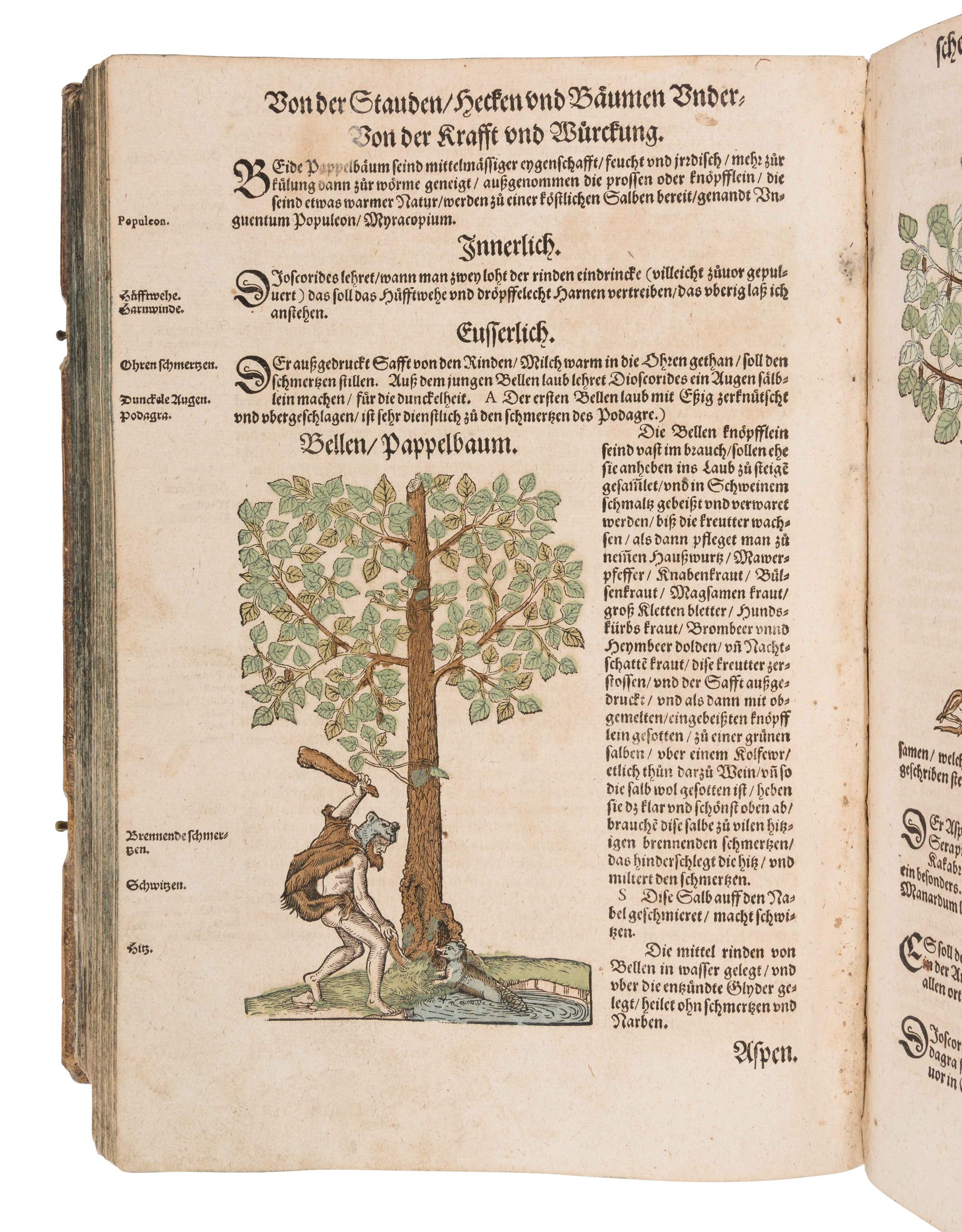 [NATURAL HISTORY]. BOCK, Hieronymus (1489?-1554). Kreutterbuch. Strassburg: Josias Rihel, 28 August 1595.