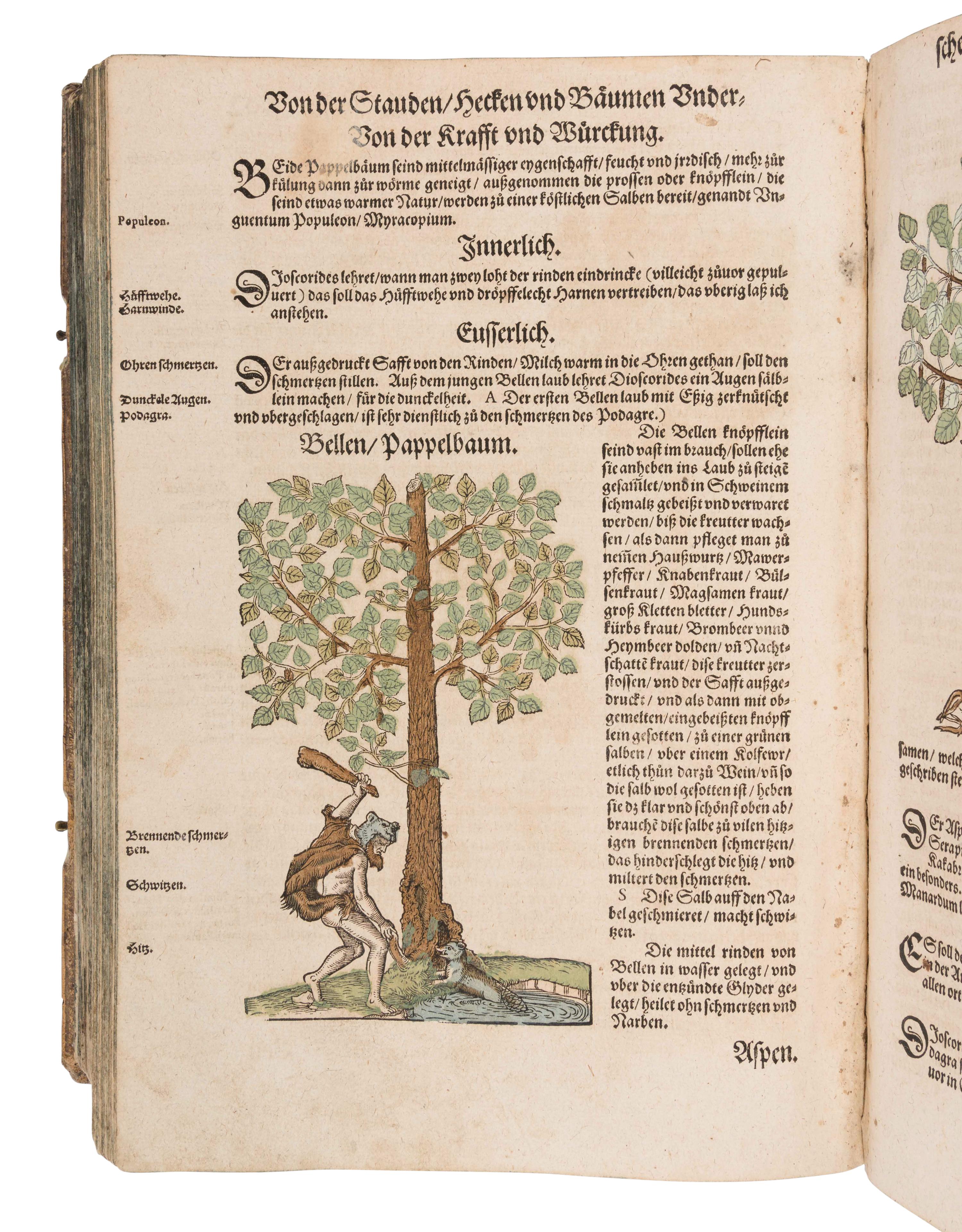 [NATURAL HISTORY]. BOCK, Hieronymus (1489?-1554). Kreutterbuch. Strassburg: Josias Rihel, 28 August 1595.