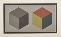 Sol LeWitt (American, 1928-2007), Double Cubes in Grays and Colors Superimposed