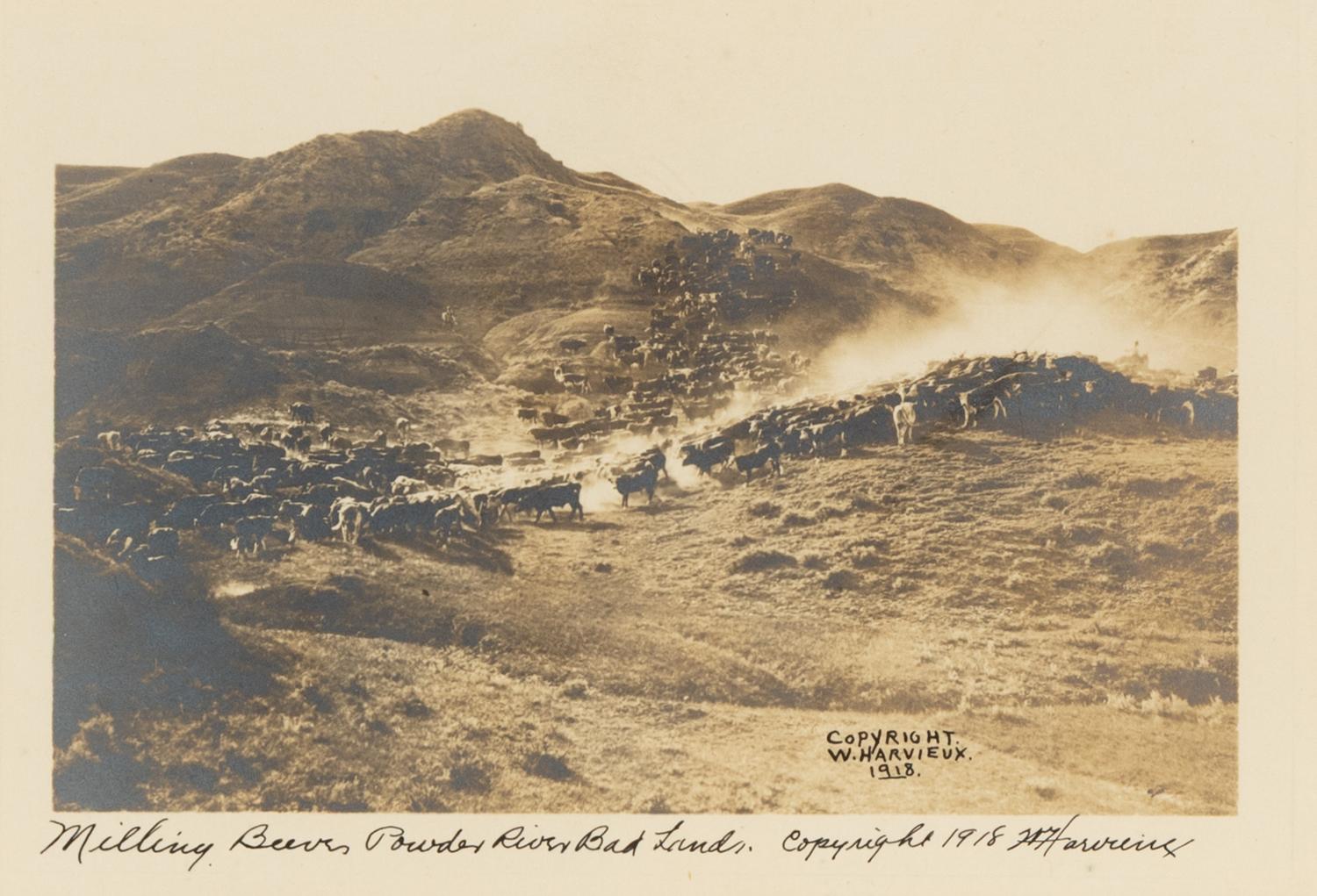 [Western Americana]. A group of 6 photographs of ranch scenes, cowboys and Native Americans, incl. images by Kirkland.