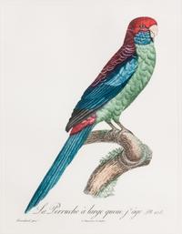 A Group of Four Decorative Prints Height of largest frame 25 x width 21 1/2 inches. — 20TH CENTURY