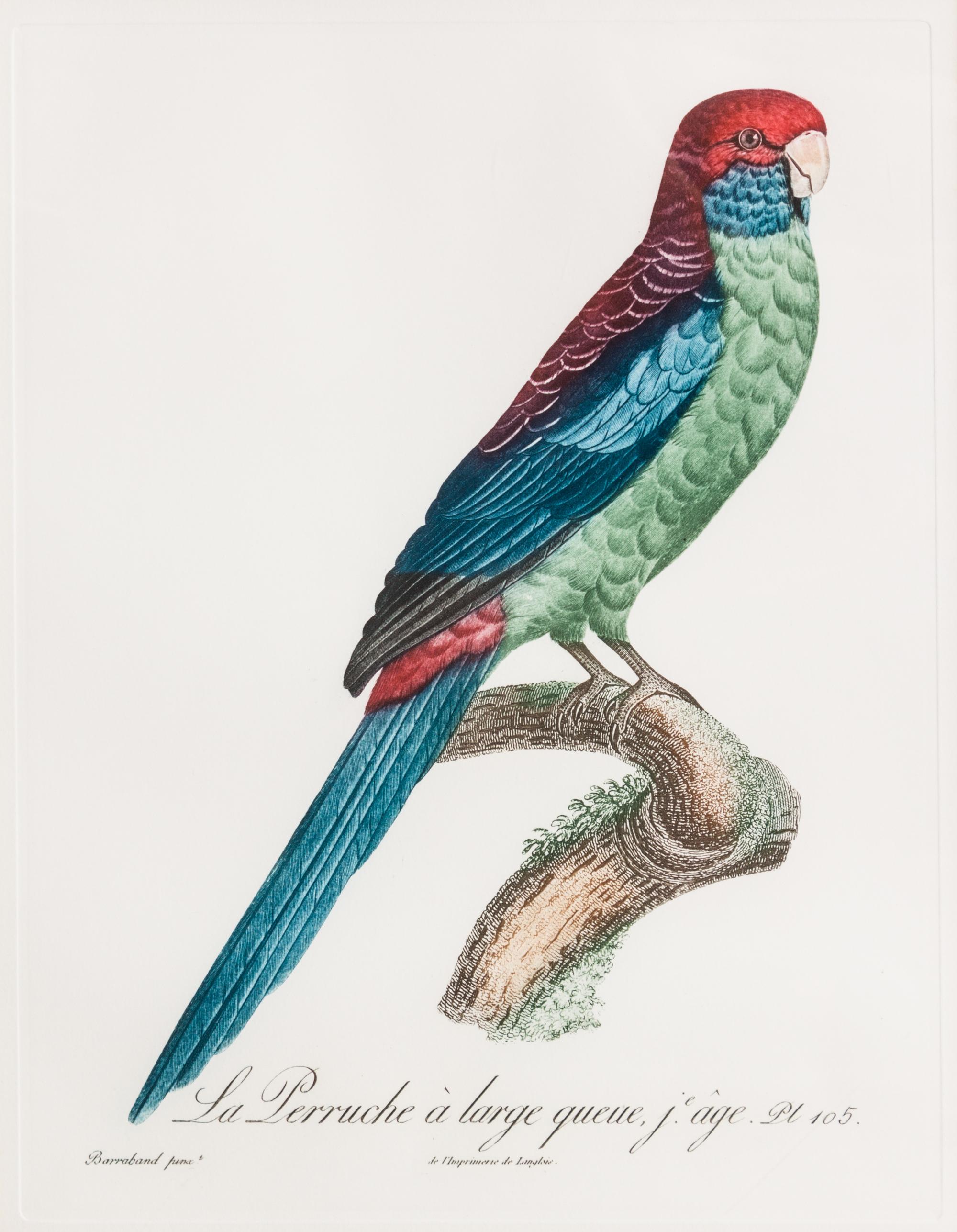 A Group of Four Decorative Prints Height of largest frame 25 x width 21 1/2 inches. — 20TH CENTURY