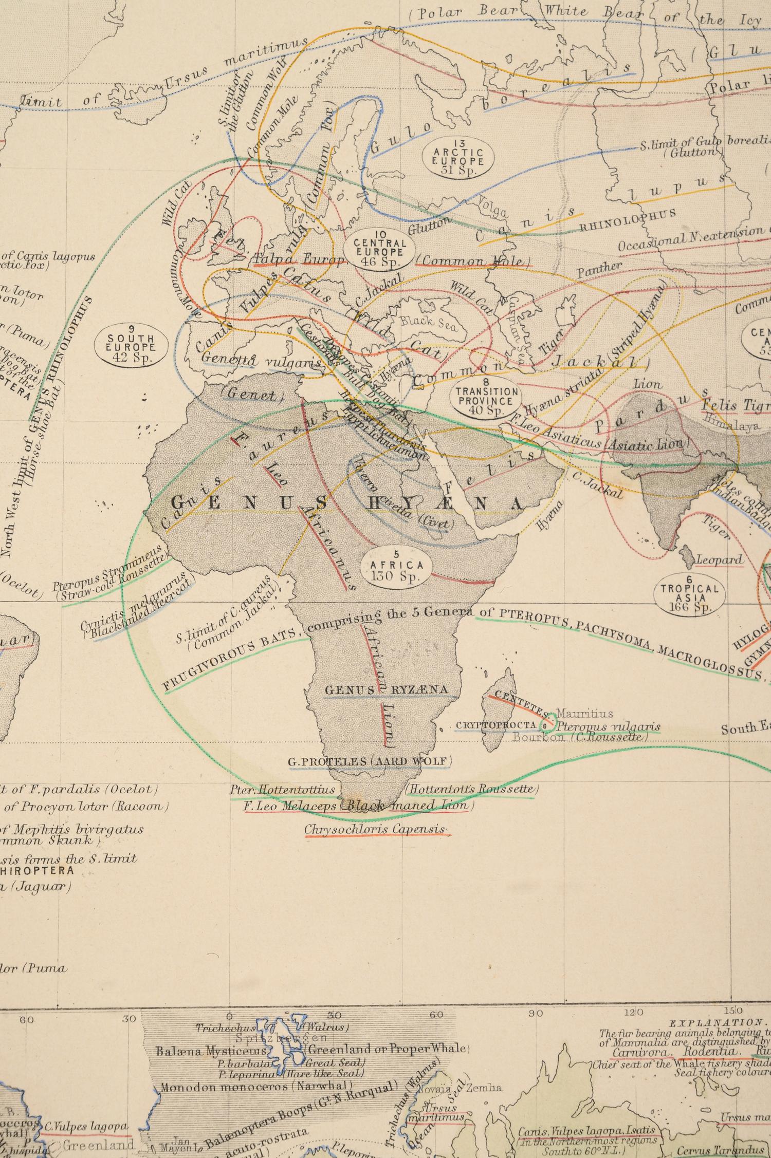 A Group of 11 19th and 20th century maps, comprising: