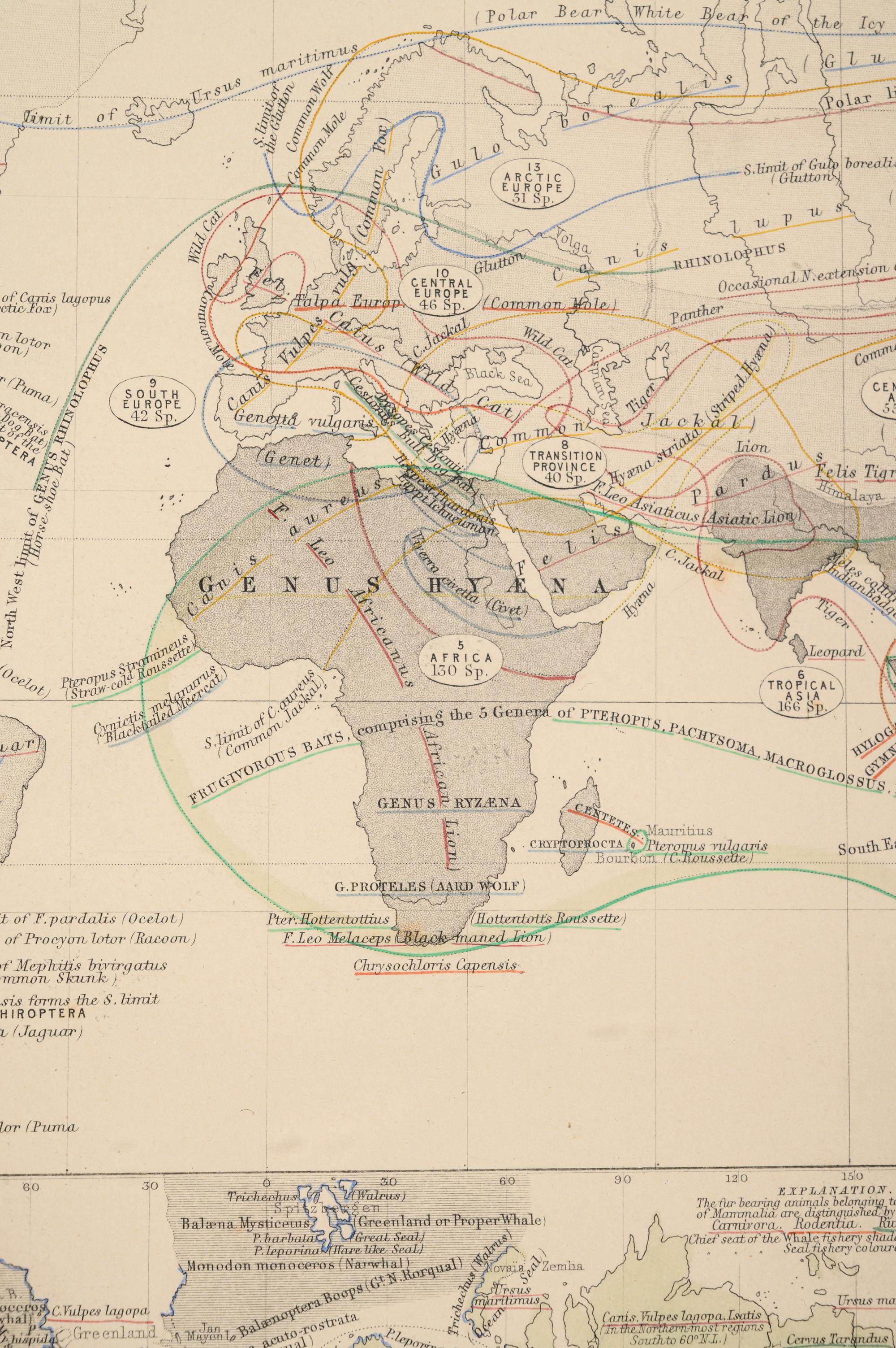 A Group of 11 19th and 20th century maps, comprising: