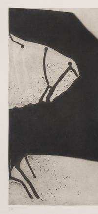 Mostro, 1976