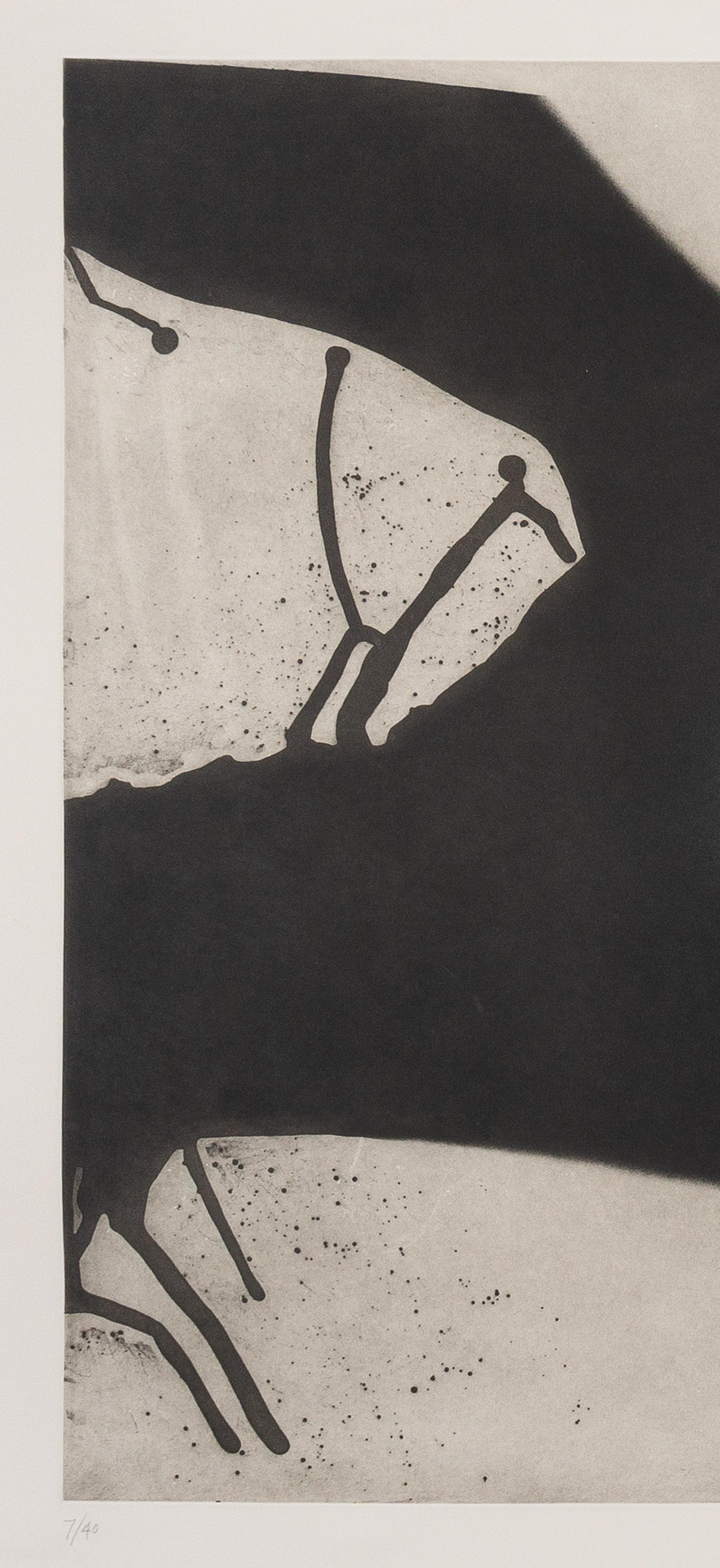 Mostro, 1976