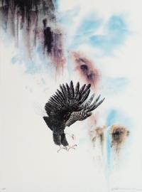 Eagle Lithograph