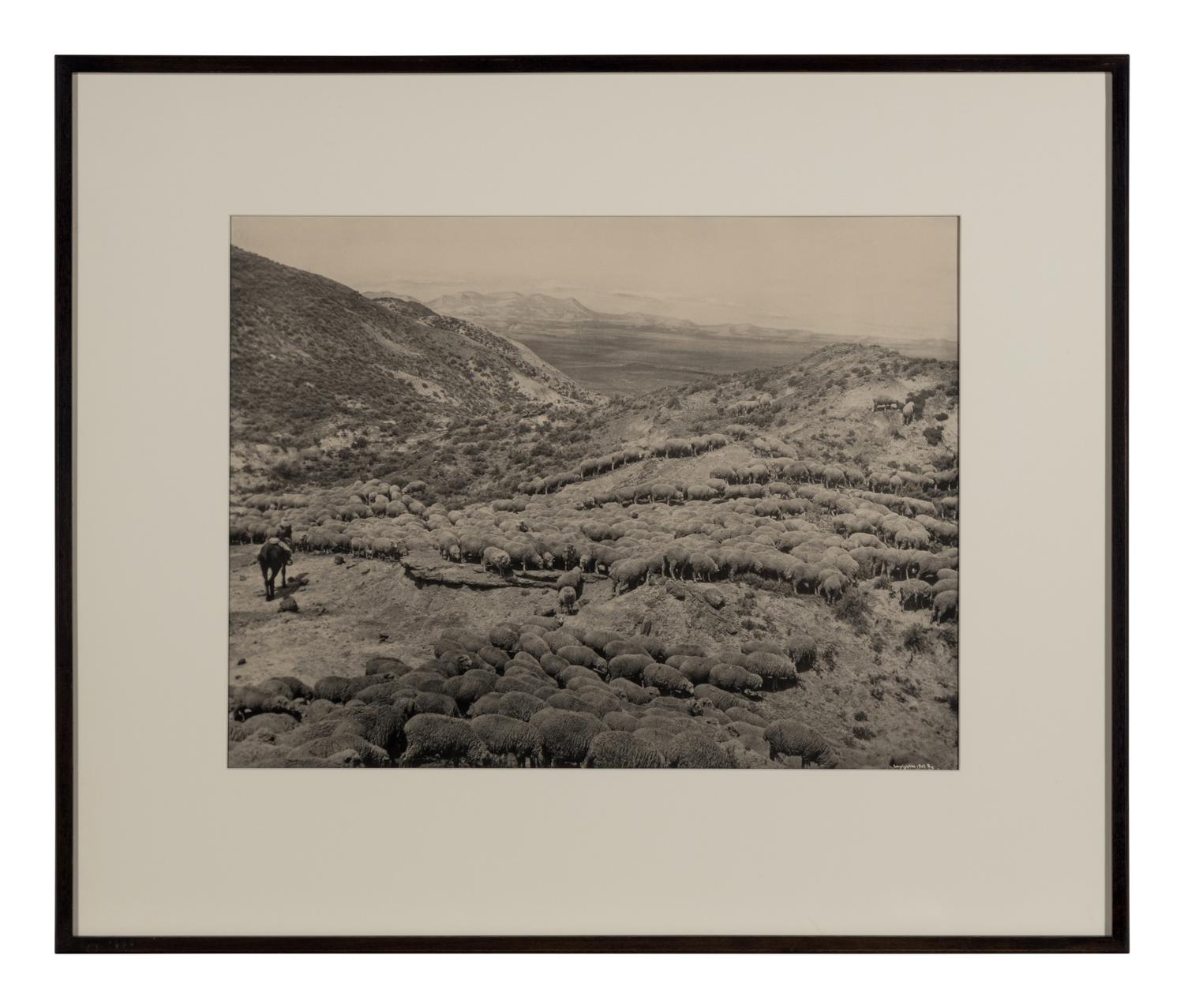 HUFFMAN, Laton Alton (1854-1931), photographer. 2 photogravures of horse and sheep in Montana.