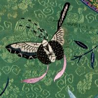 A Chinese Apple Green Ground Embroidered 'Peonies and Insects' Silk Lady's Robe, Changyi, 19th Century 清晚期 蘋果綠地綉牡丹草蟲氅衣