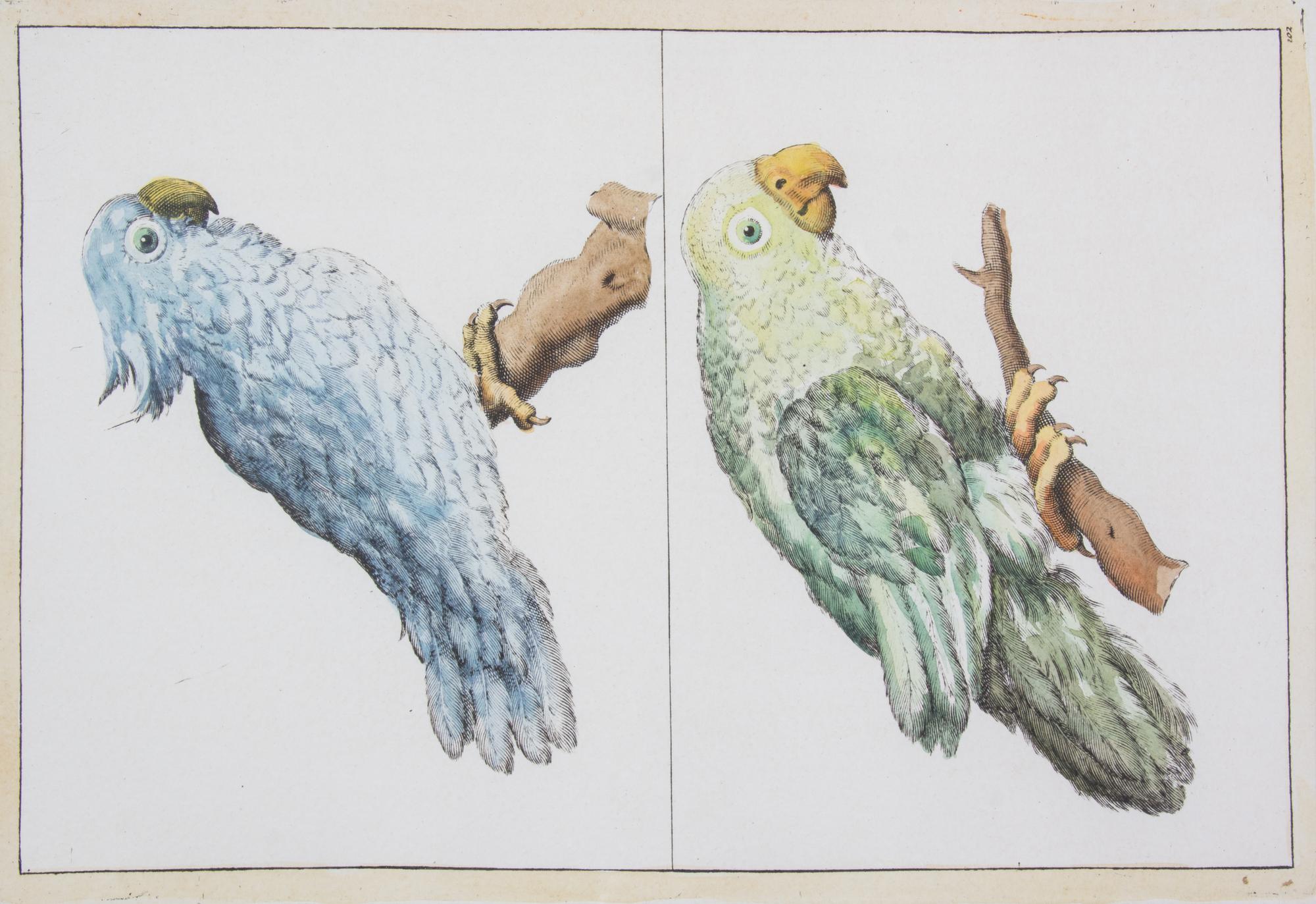A Pair of Continental Handcolored Engravings 12 1/4 x 8 3/4 inches. — 19TH CENTURY